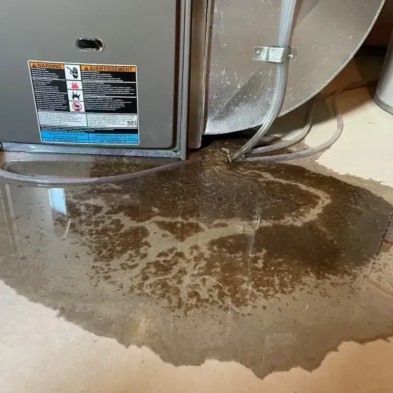 Appliance Leak Cleanup in Boynton Beach, FL